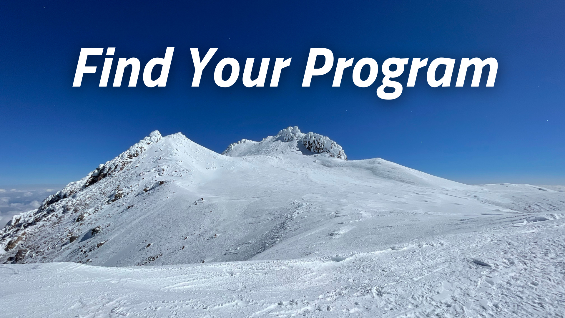 Find Your Program