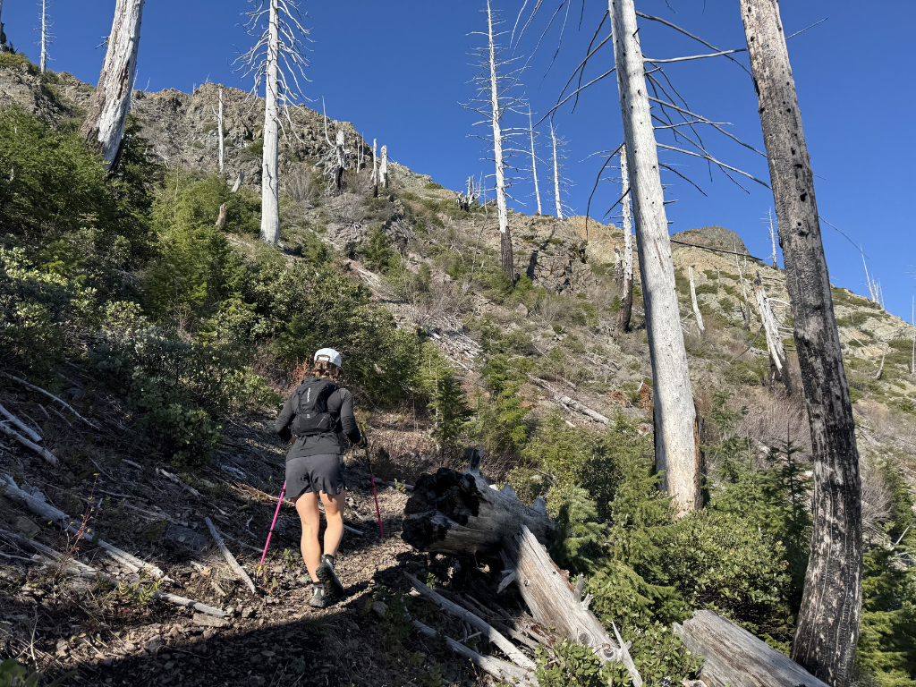 Hiker jogging uphill on a mountain trail