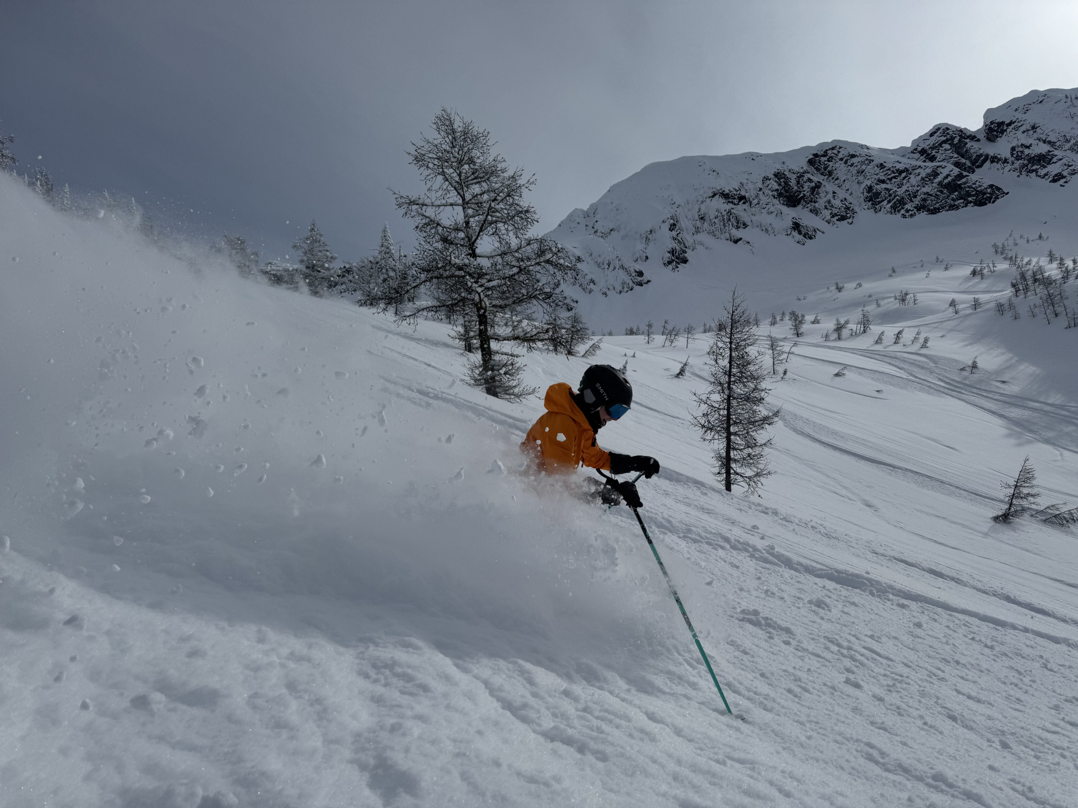 Skiing British Columbia powder, Kootenays