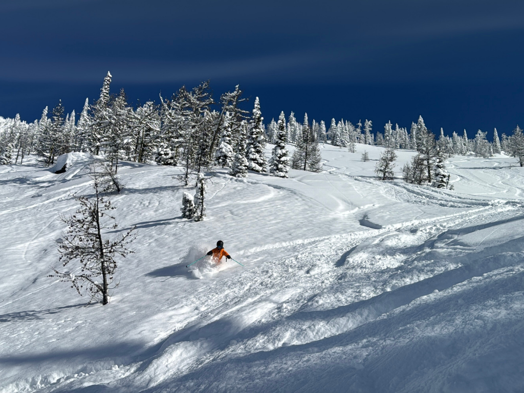 Skier on a bluebird powder day