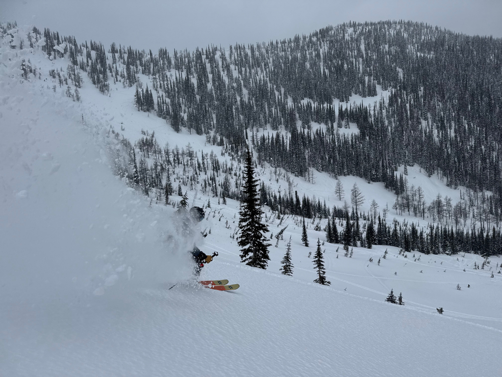 Skier descending an open powder slope
