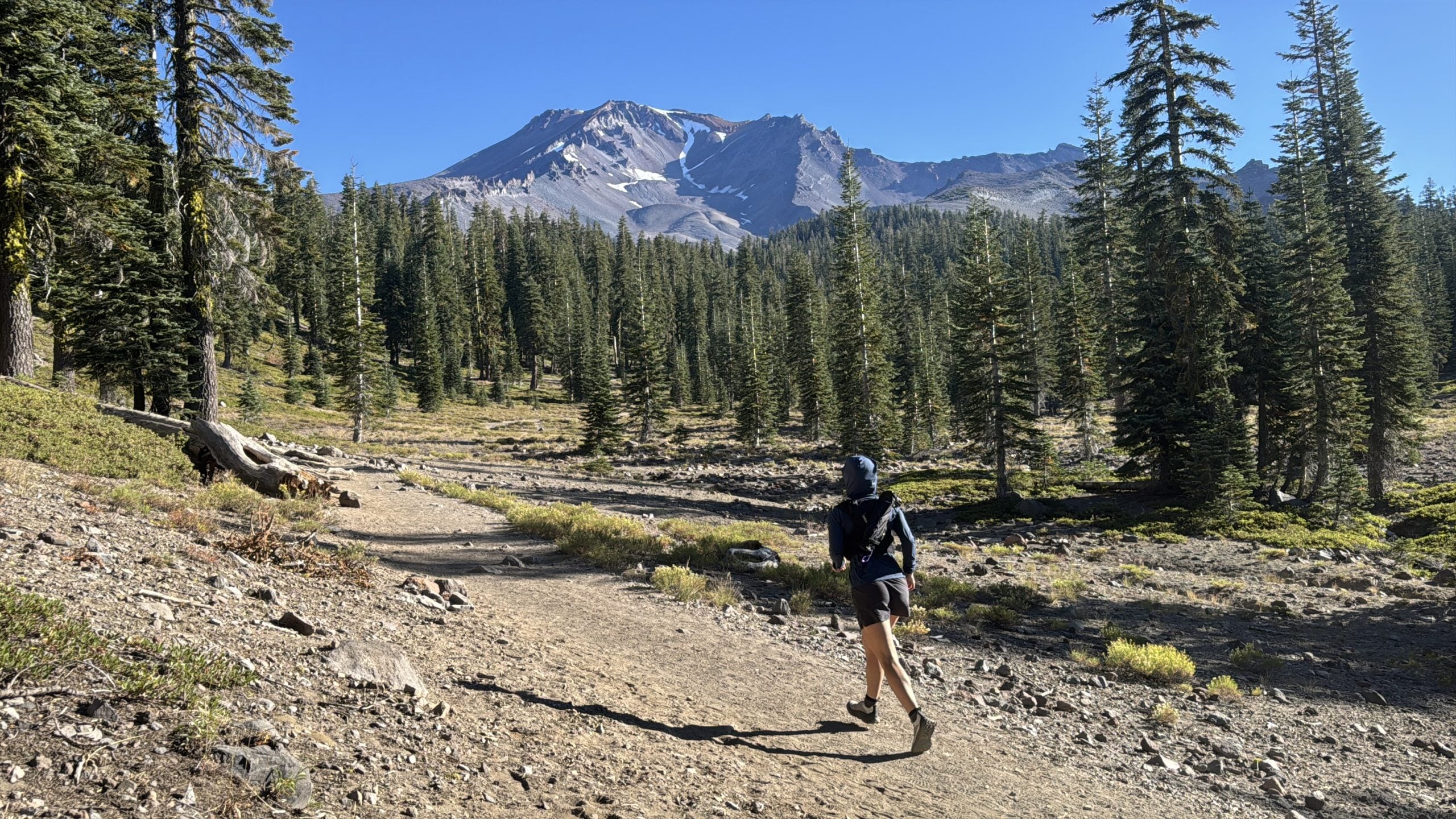 Trekking poles stowed in a running-vest quiver