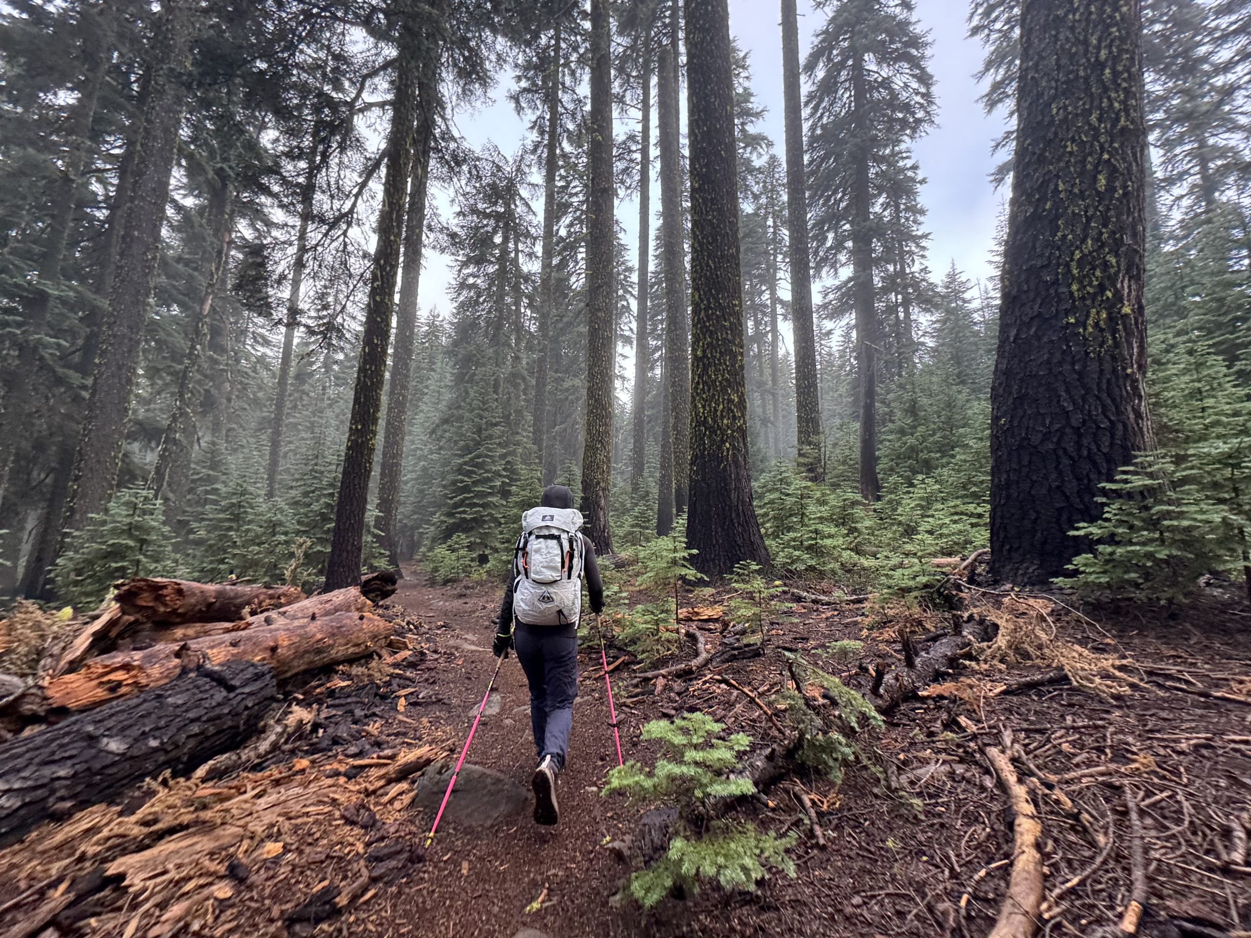 Hiker climbing a forested trail with trekking poles