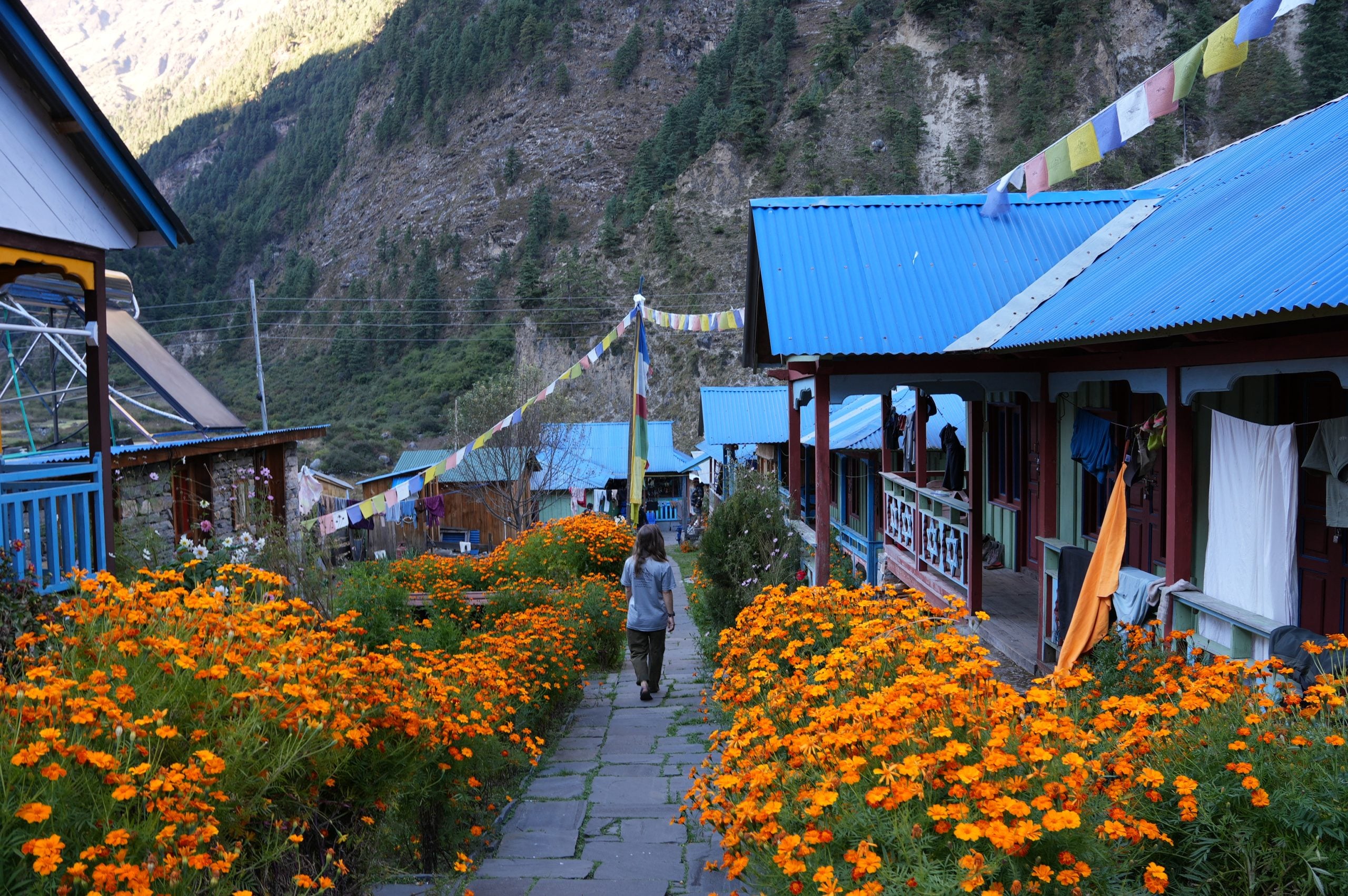 A teahouse in Namrung on the Manaslu Circuit